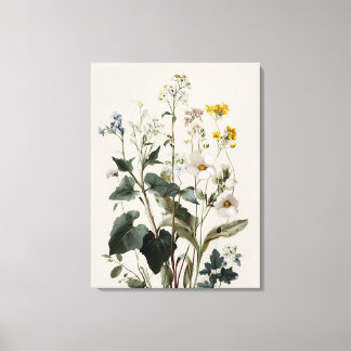 Anemon Vildblommssamling Canvastryck