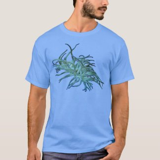 Anemone 4 t shirt