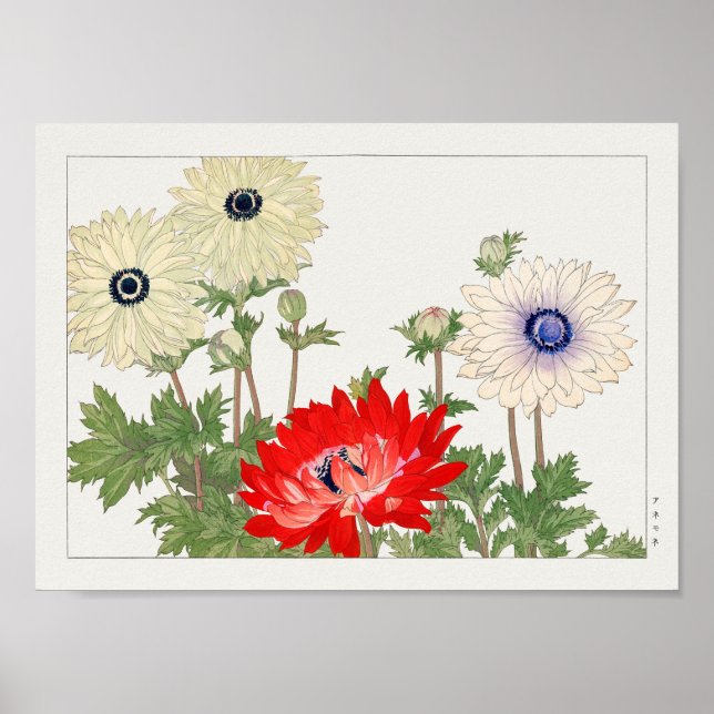 Anemone av Tanigami Konan Poster (Framsidan)