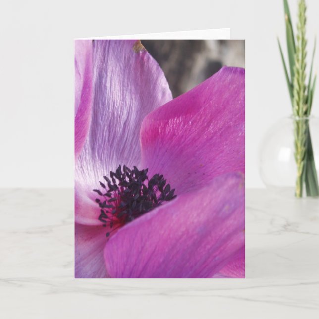 Anemone Closeup-hälsningskort Kort (Framsida)