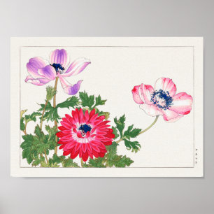 Anemone coronaria av Tanigami Konan Poster