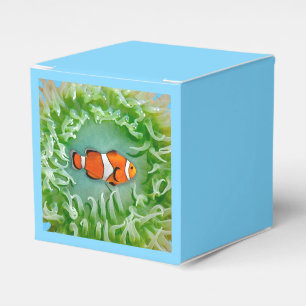 Anemone-favoritruta Presentaskar