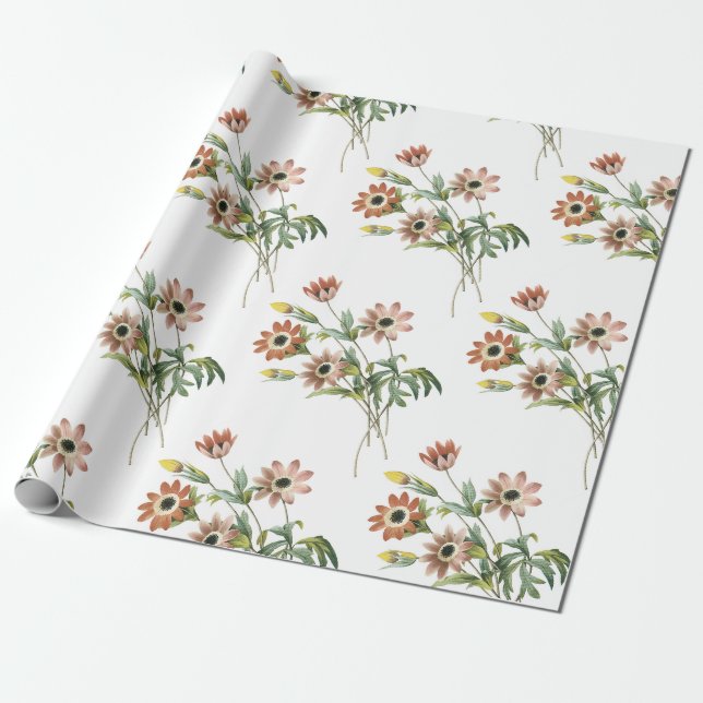 Anemone Flower Mönster Presentpapper (Utrullad)
