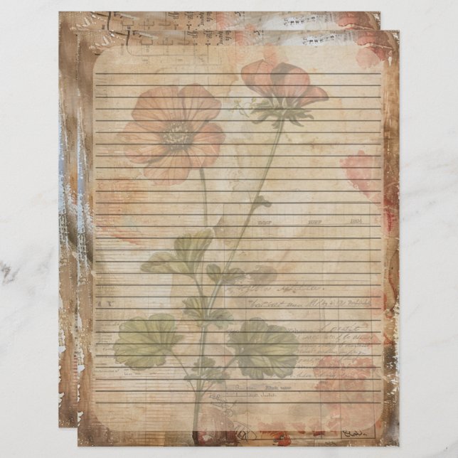 Anemone Flower Old Manuscript Brevhuvud (Fram/baksida)