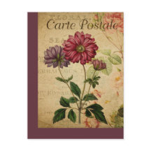 Anemone för vintage botaniskt Fransk