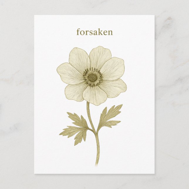 Anemone - Forgnant Vykort (Framsida)