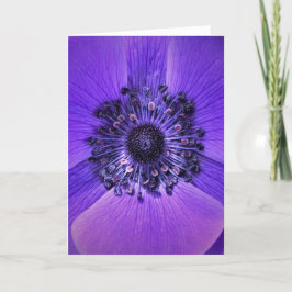 Anemone, kort