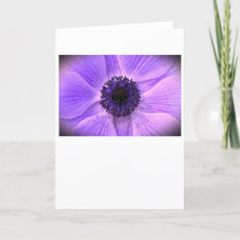 Anemone, kort