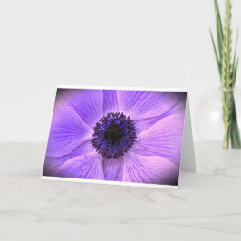 Anemone, kort