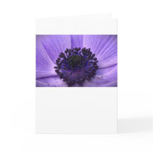 Anemone, kort