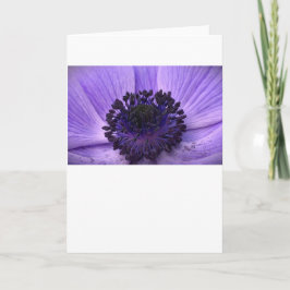 Anemone, kort