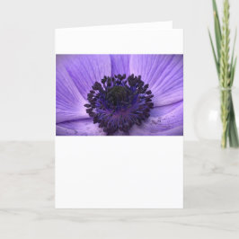 Anemone, kort