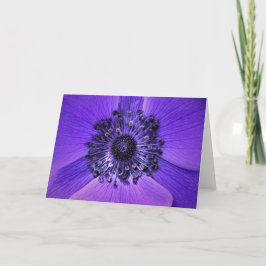 Anemone, kort