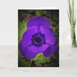 Anemone, kort