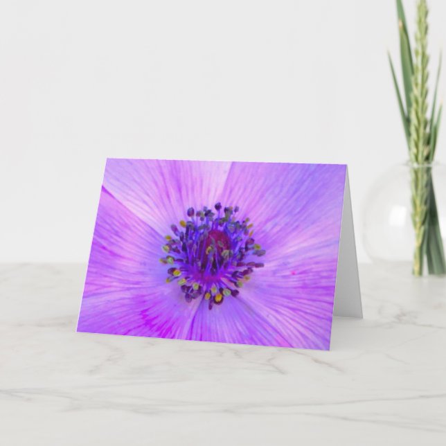 Anemone, kort (Framsida)