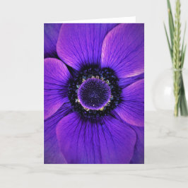 Anemone, kort