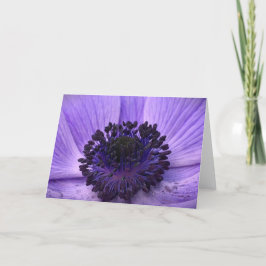 Anemone, kort