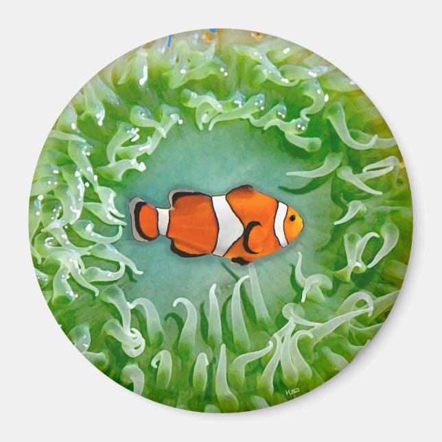 Anemone Magnet (Framsidan)