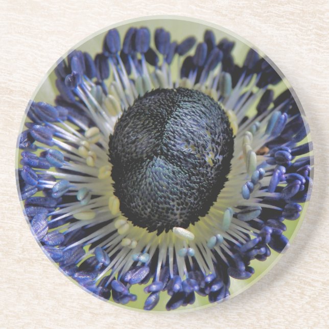 Anemone Mistral Panda Underlägg (Framsidan)