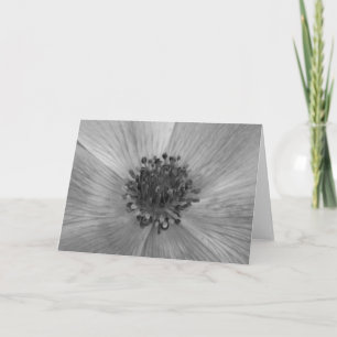 Anemone/Noir, kort