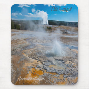 Anemone och Old Faithful Geysers Erupting Musmatta