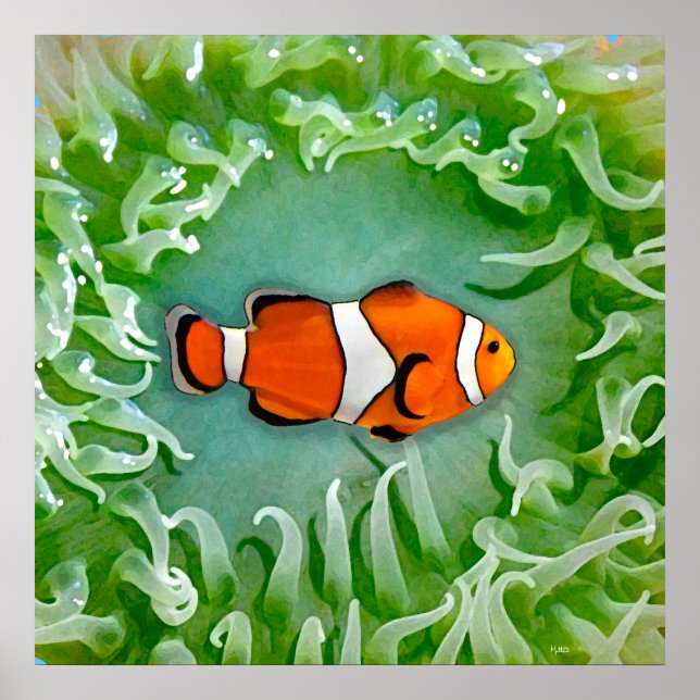 Anemone Poster (Framsidan)