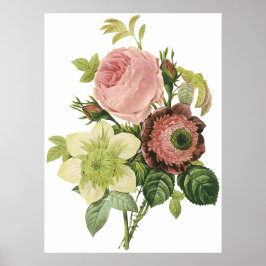 Anemone, Ro, Clematis Poster
