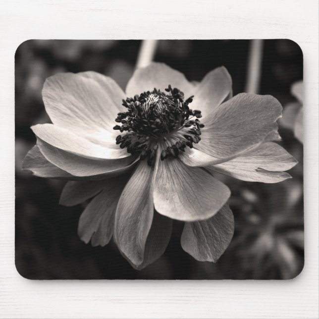 Anemone Sepia florfoto Mouse pad Musmatta (Framsidan)