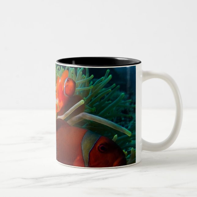 Anemonefish kaffemugg (Höger)