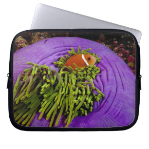 Anemonefish och stor anemon laptop sleeve
