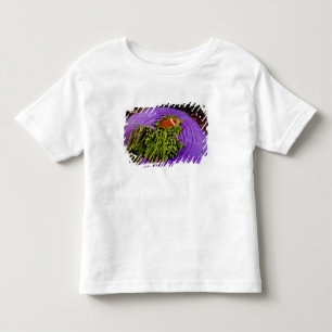 Anemonefish och stor anemon t-shirt