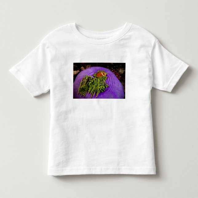 Anemonefish och stor anemon t shirt (Framsida)