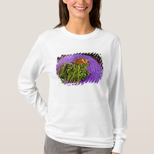 Anemonefish och stor anemon tee shirt (Framsida)