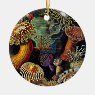 Anemoner från Under Sea Classic Round Sticker Julgransprydnad Keramik
