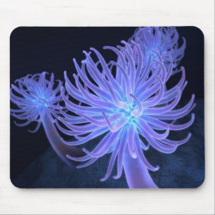 Anemoner Mousepad Musmatta