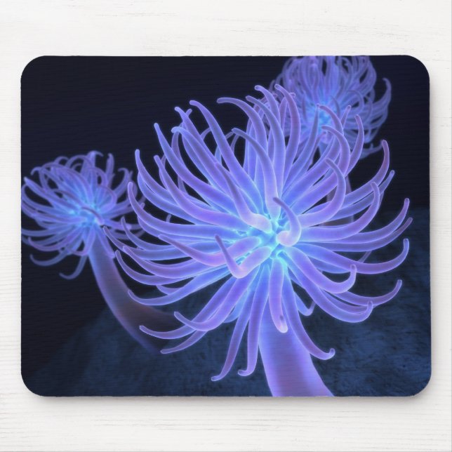 Anemoner Mousepad Musmatta (Framsidan)