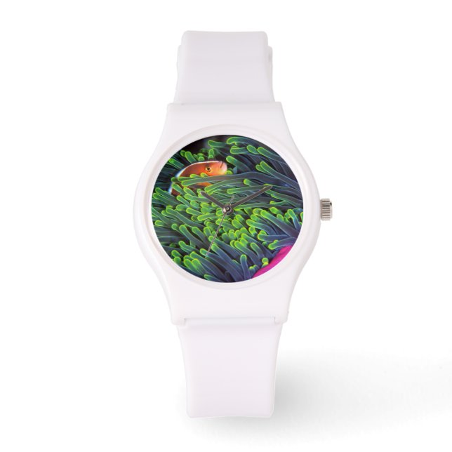 Anemonfisk gömmer sig i Anemon, Moçambique 2 Armbandsur (Framsida)