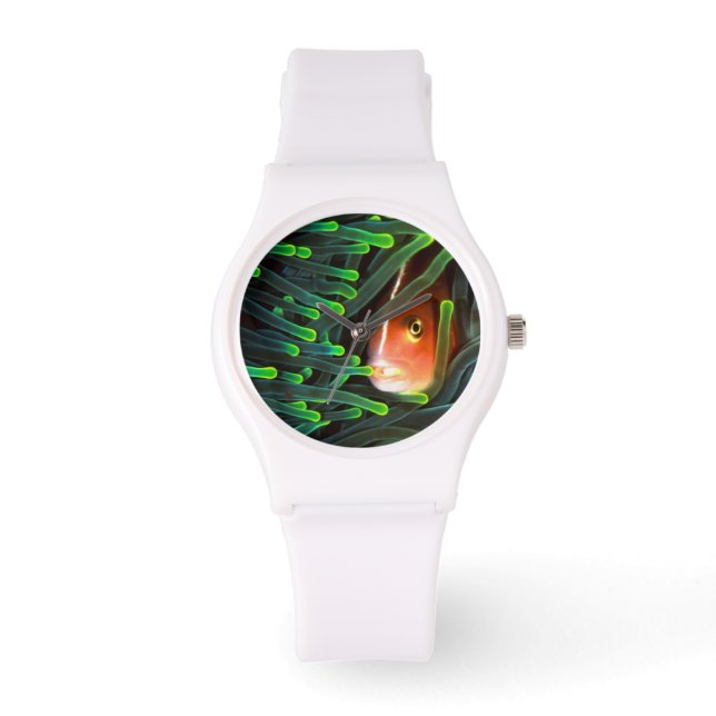Anemonfisk gömmer sig i Anemon, Moçambique Armbandsur (Framsida)