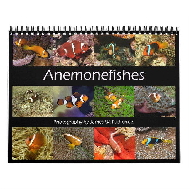 Anemonfiskar Väggkalender av J.W. Fatherree. Kalender (Omslag)