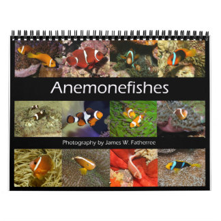 Anemonfiskar Väggkalender av J.W. Fatherree. Kalender