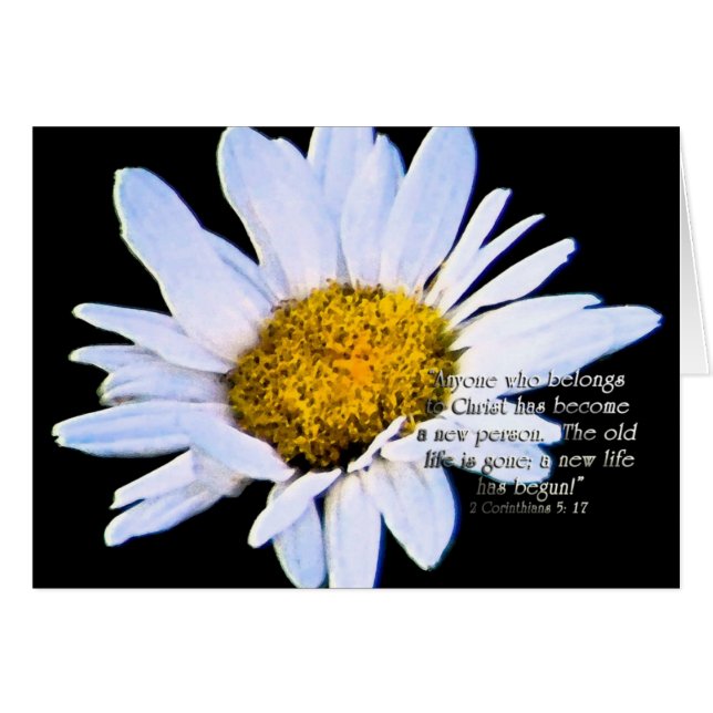 AnewlivhasbeginZazzle OBS Kort (Framsidan Horizontal)