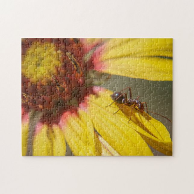 anfall pussel (Horisontell)