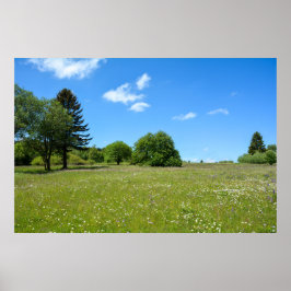 Äng idyll poster