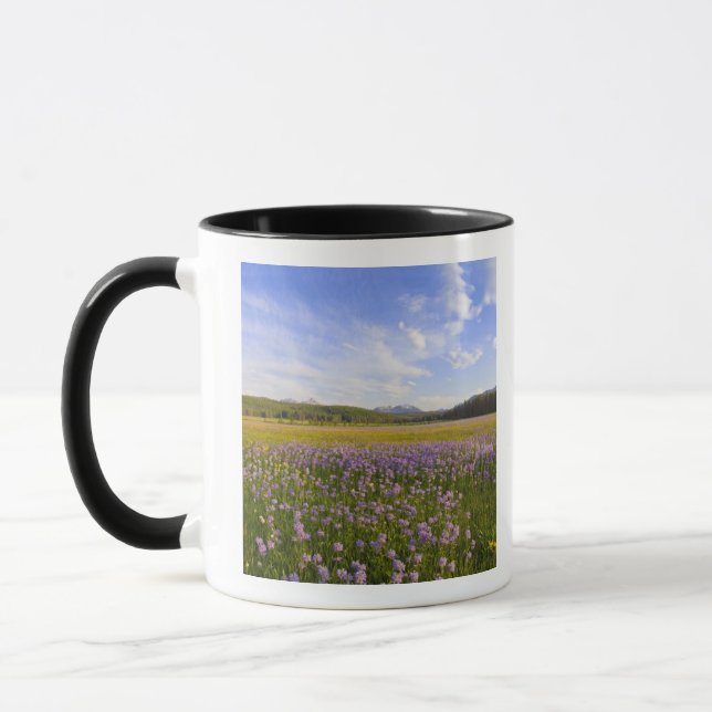 Äng med penstemon-vildblommor i 2 mugg (Vänster)