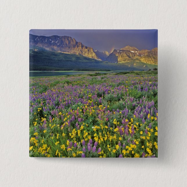 Äng med vilda blommor i Many glacier Knapp (Framsida)