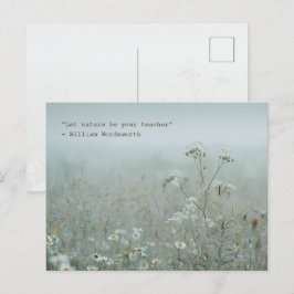 Äng med vilda blommor - naturestetik vykort