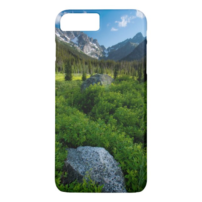 Äng och Mt. Stuart Case-Mate iPhone Skal (Baksida)