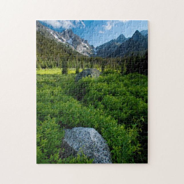 Äng och Mt. Stuart Pussel (Vertikal)
