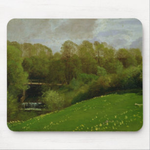 Äng och skogsmark, 1895 musmatta