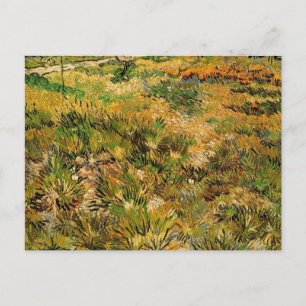 Äng på sjukhuset Saint Paul av Vincent van Gogh Vykort